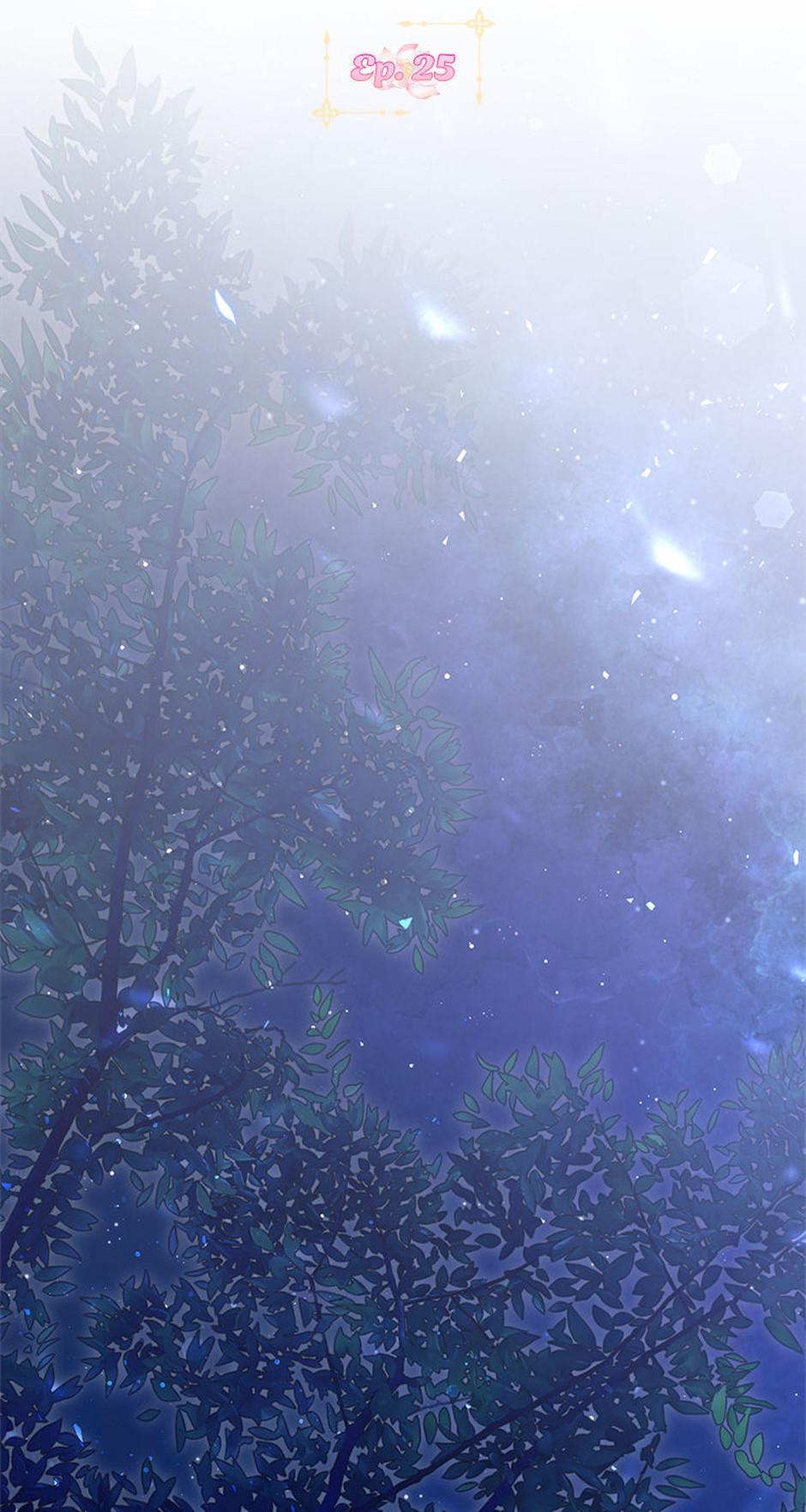 I Was Reincarnated as the Abandoned Baby Princess Chapter 25 page 19 - 