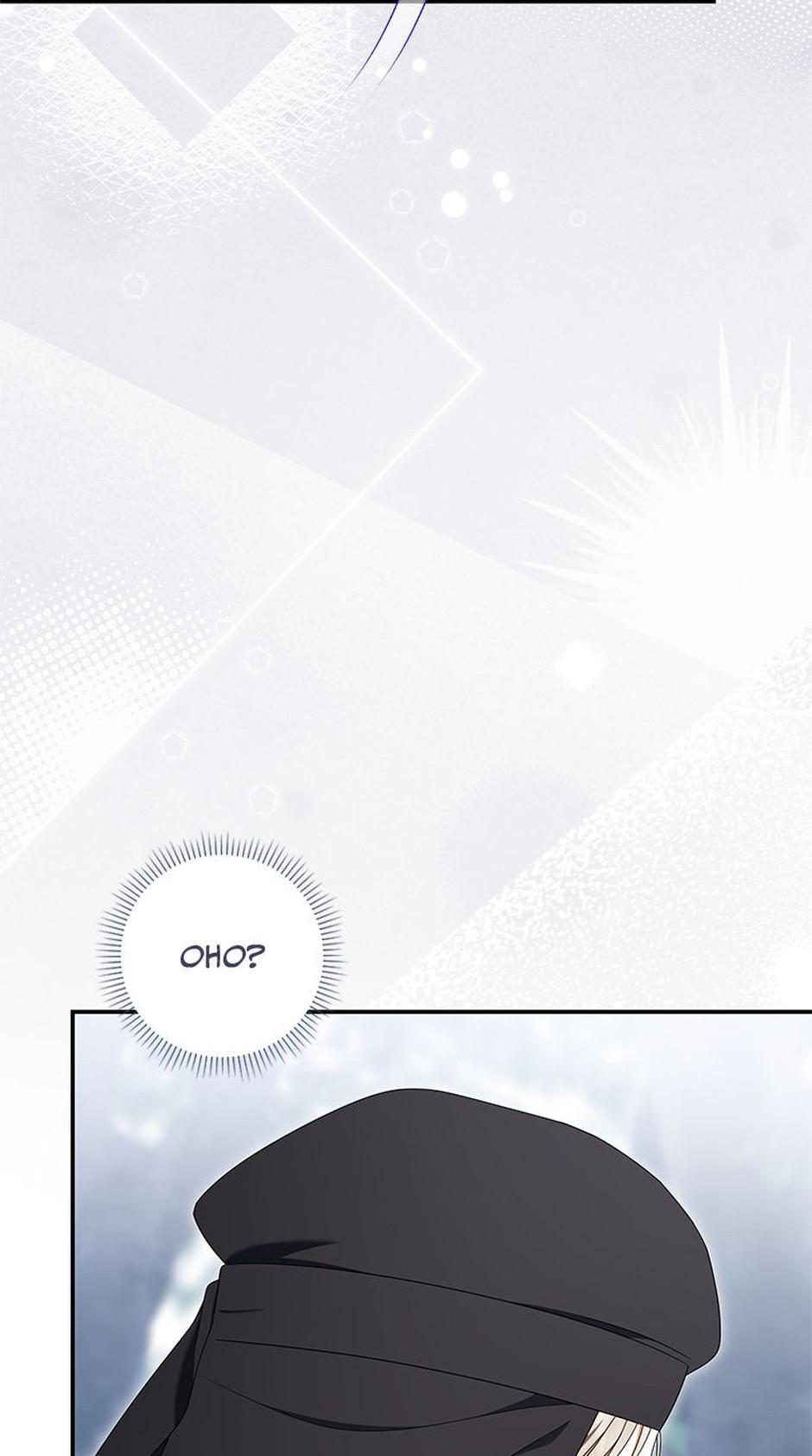 I Was Reincarnated as the Abandoned Baby Princess Chapter 33 page 74 - 