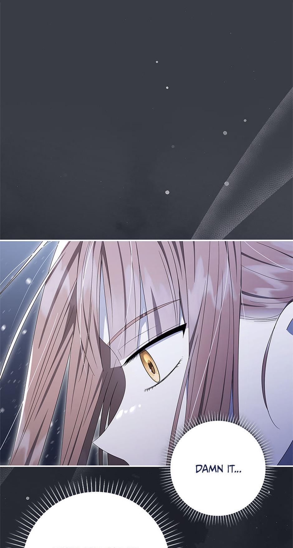 I Was Reincarnated as the Abandoned Baby Princess Chapter 39 page 70 - 