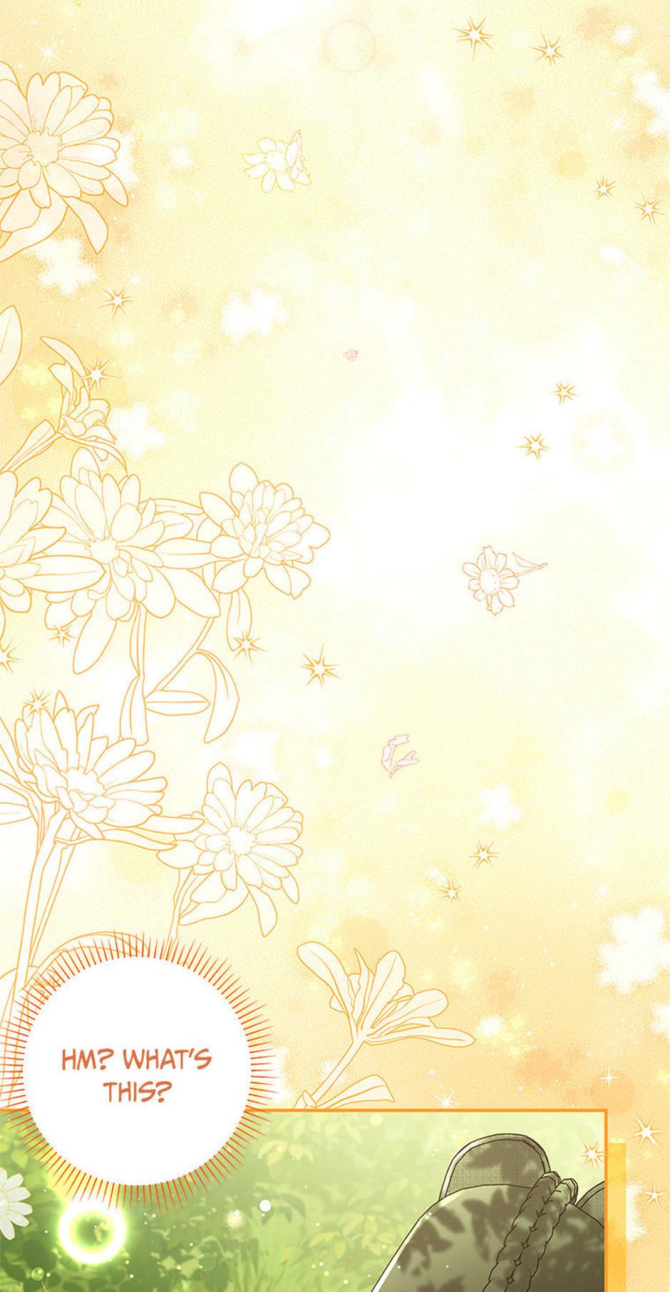 I Was Reincarnated as the Abandoned Baby Princess Chapter 4 page 40 - 