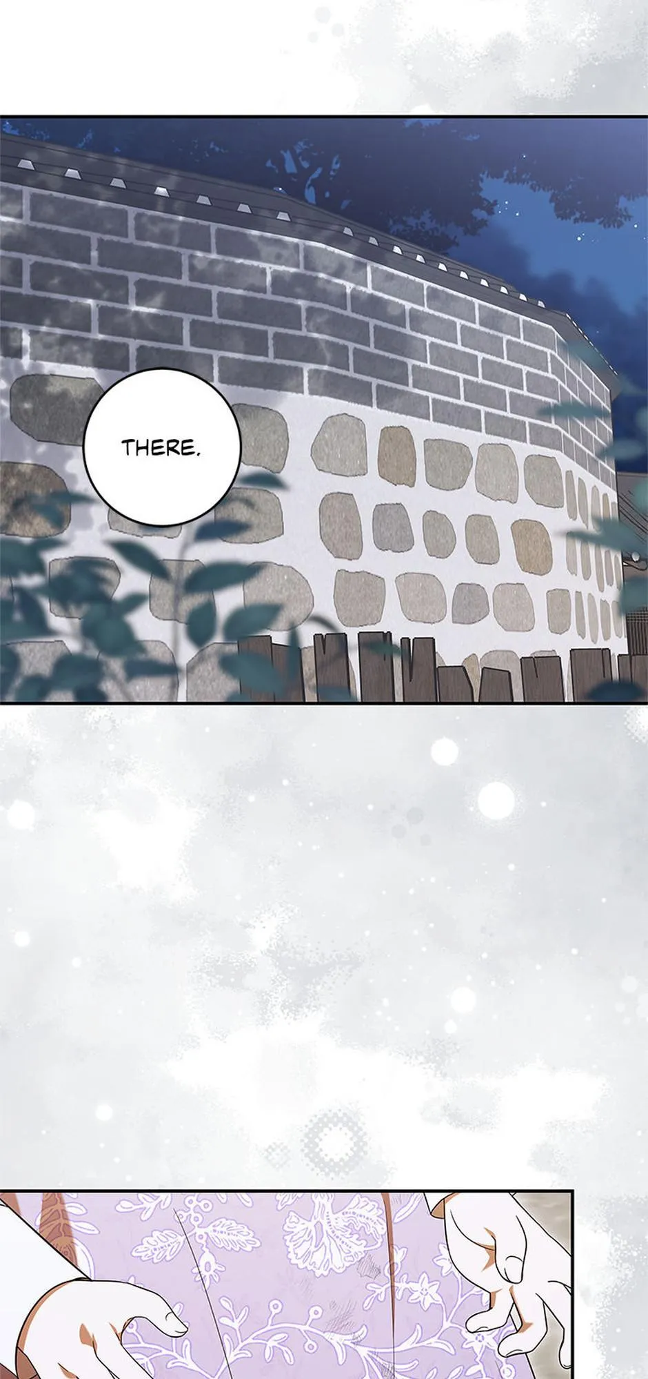 I Was Reincarnated as the Abandoned Baby Princess Chapter 47 page 10 - 