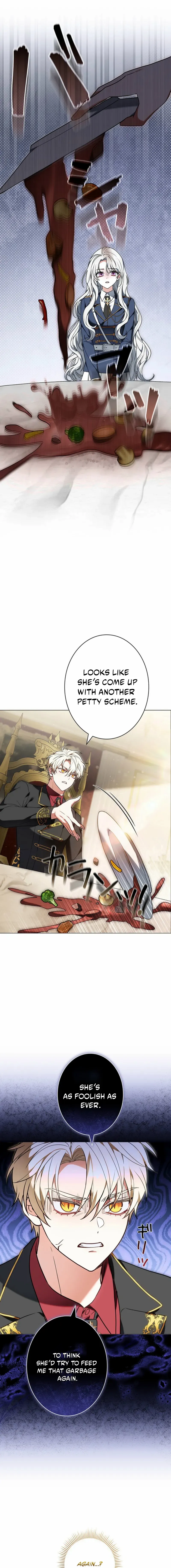 I Was Supposed to Be a Stalker Lady, but Somehow I