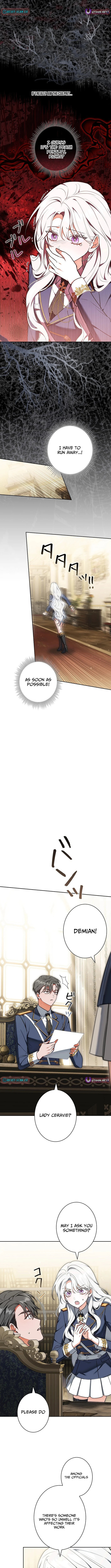 I Was Supposed to Be a Stalker Lady, but Somehow I