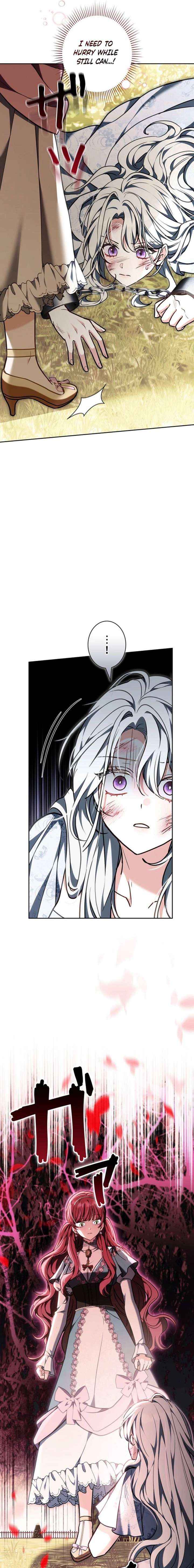 I Was Supposed to Be a Stalker Lady, but Somehow I