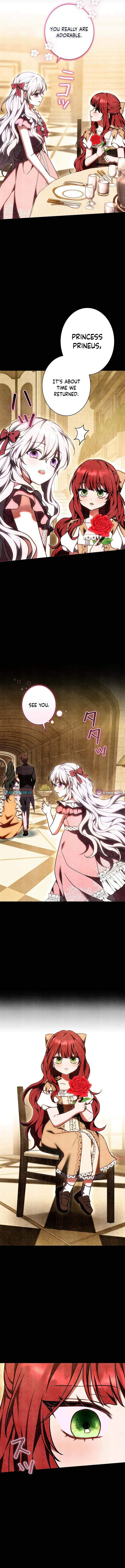 I Was Supposed to Be a Stalker Lady, but Somehow I