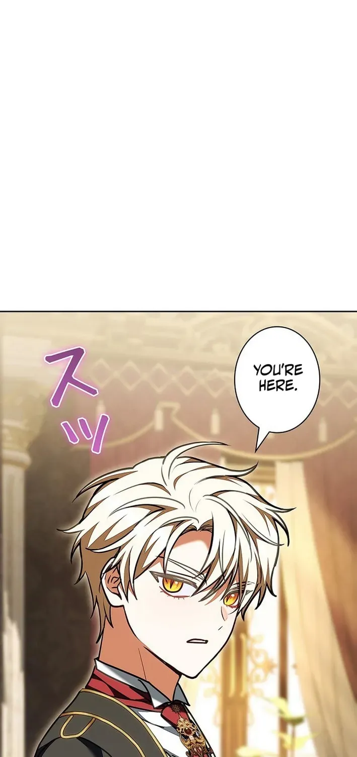 I Was Supposed to Be a Stalker Lady, but Somehow I