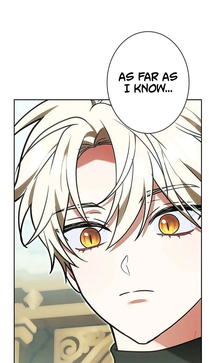 I Was Supposed to Be a Stalker Lady, but Somehow I