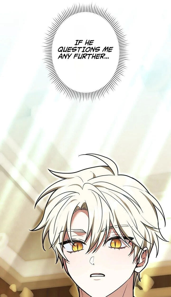 I Was Supposed to Be a Stalker Lady, but Somehow I