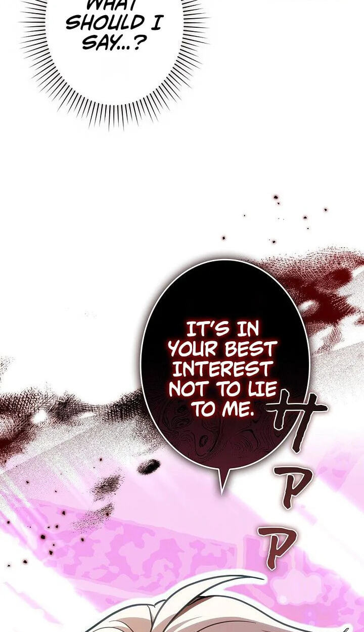 I Was Supposed to Be a Stalker Lady, but Somehow I