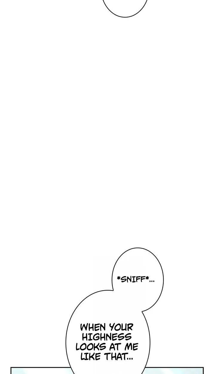 I Was Supposed to Be a Stalker Lady, but Somehow I