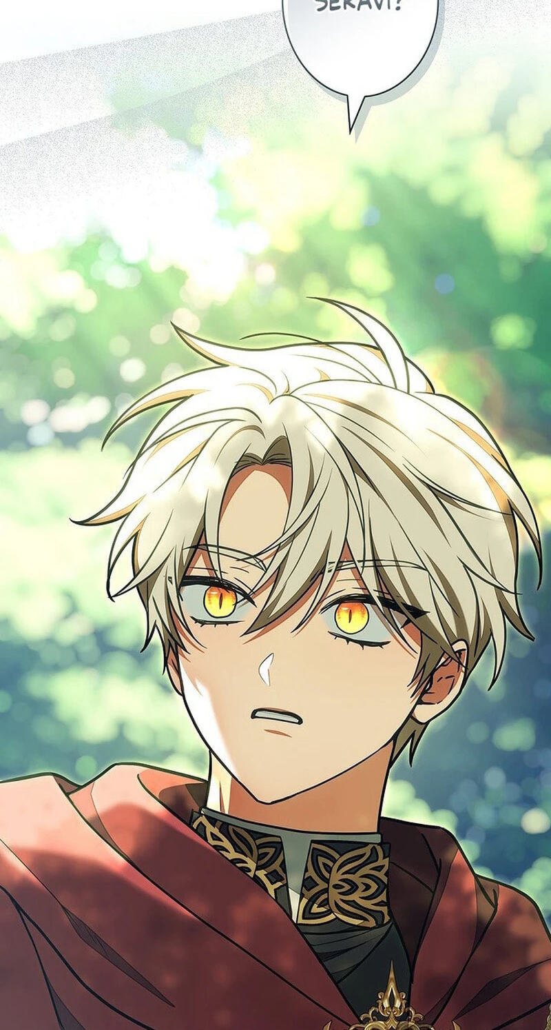 I Was Supposed to Be a Stalker Lady, but Somehow I
