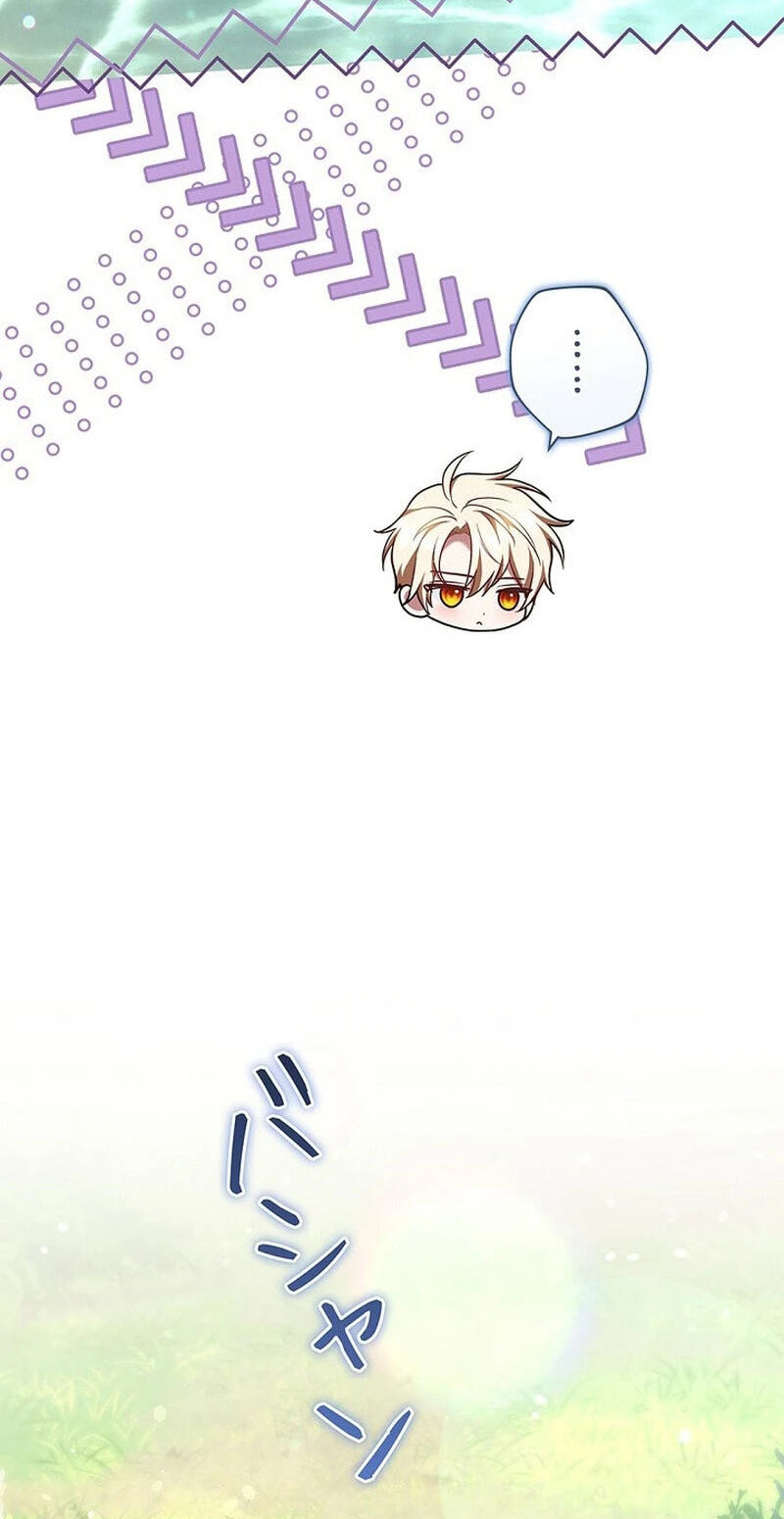 I Was Supposed to Be a Stalker Lady, but Somehow I