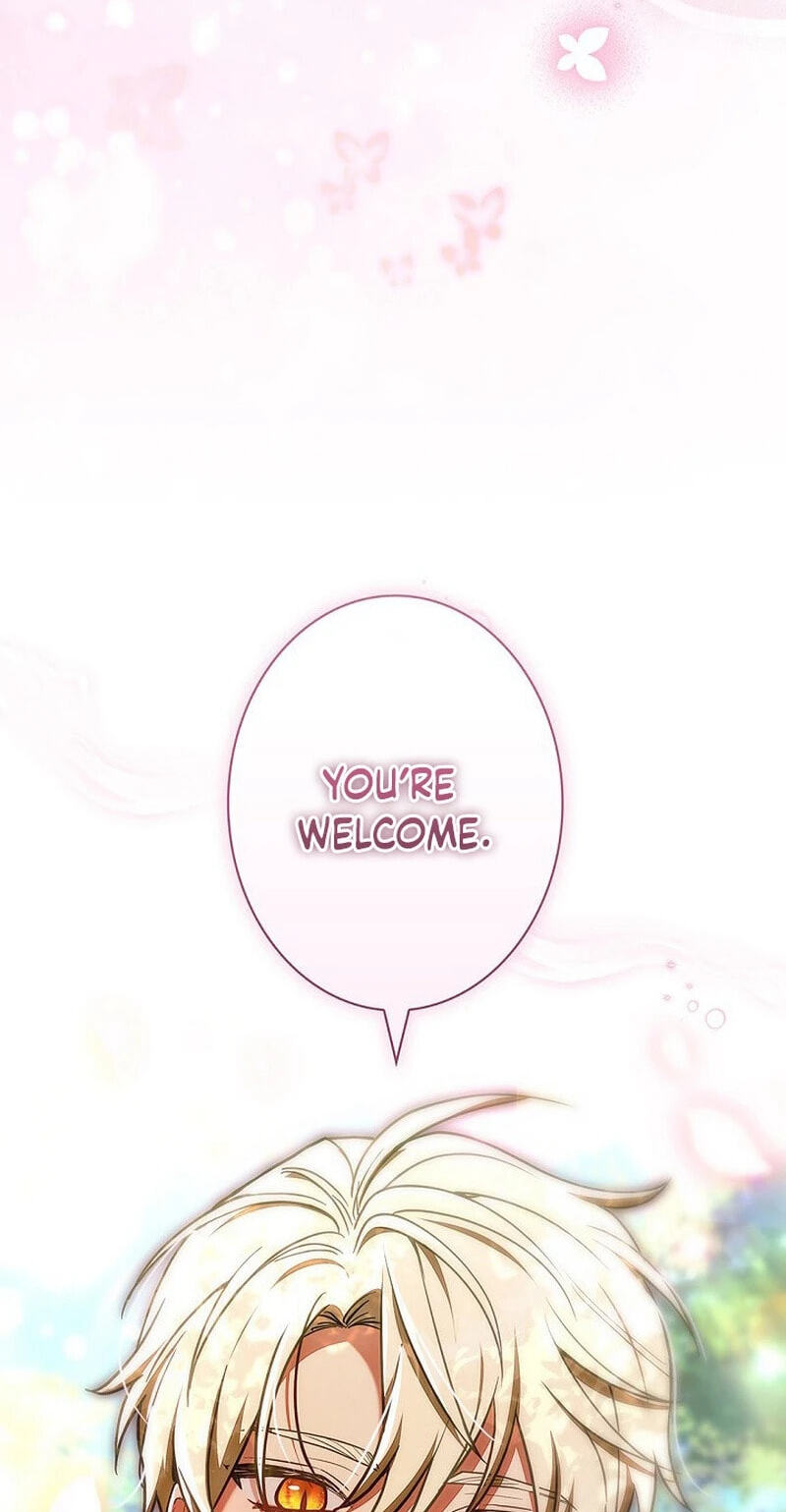 I Was Supposed to Be a Stalker Lady, but Somehow I