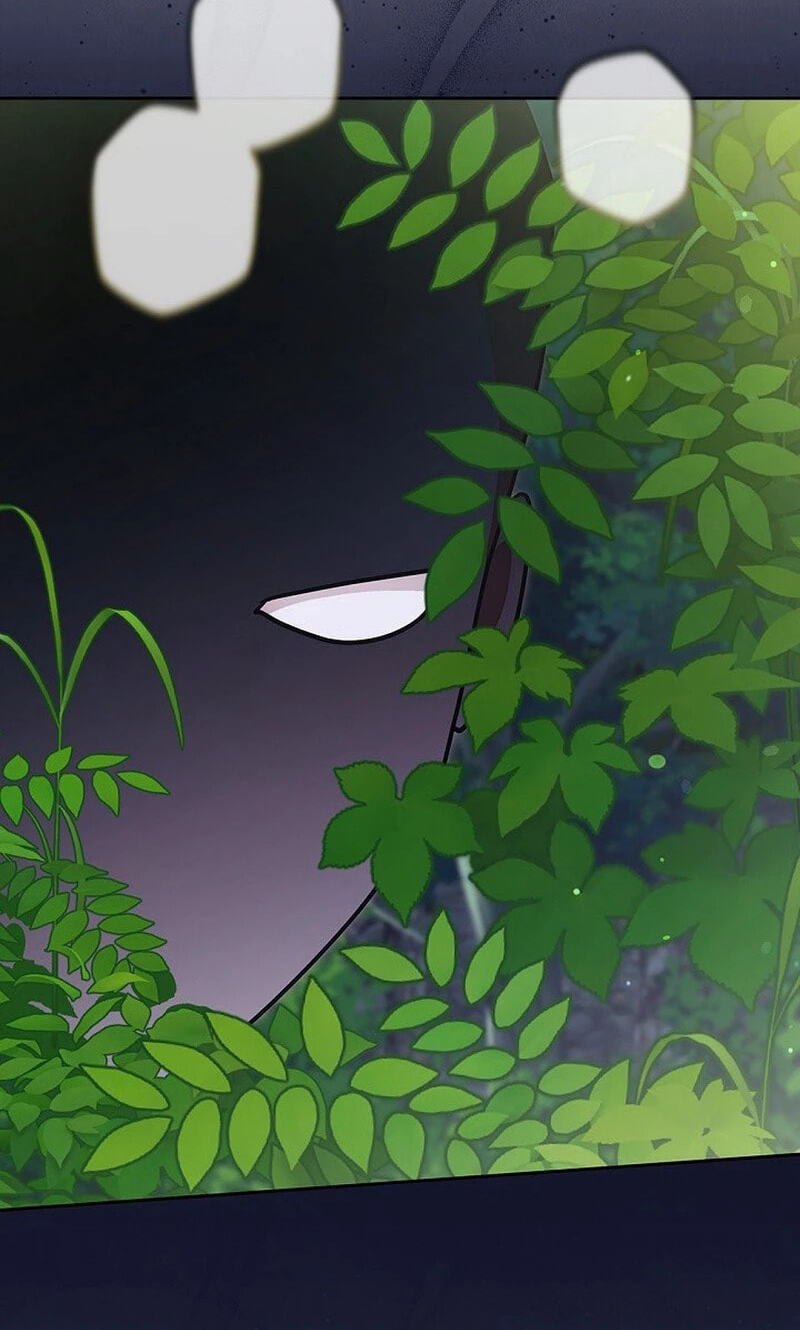 I Was Supposed to Be a Stalker Lady, but Somehow I