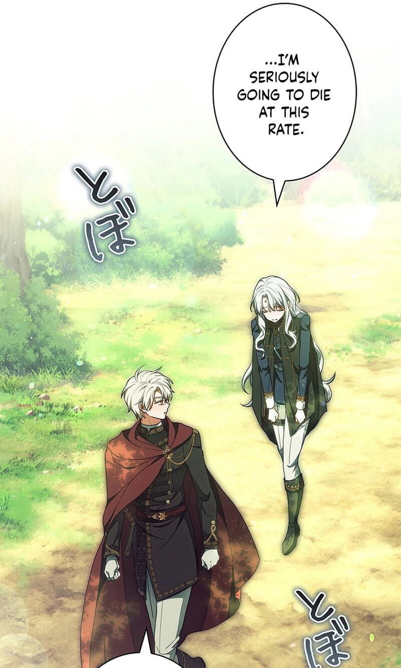 I Was Supposed to Be a Stalker Lady, but Somehow I