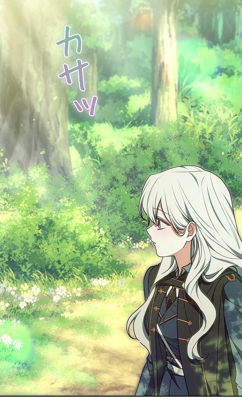 I Was Supposed to Be a Stalker Lady, but Somehow I
