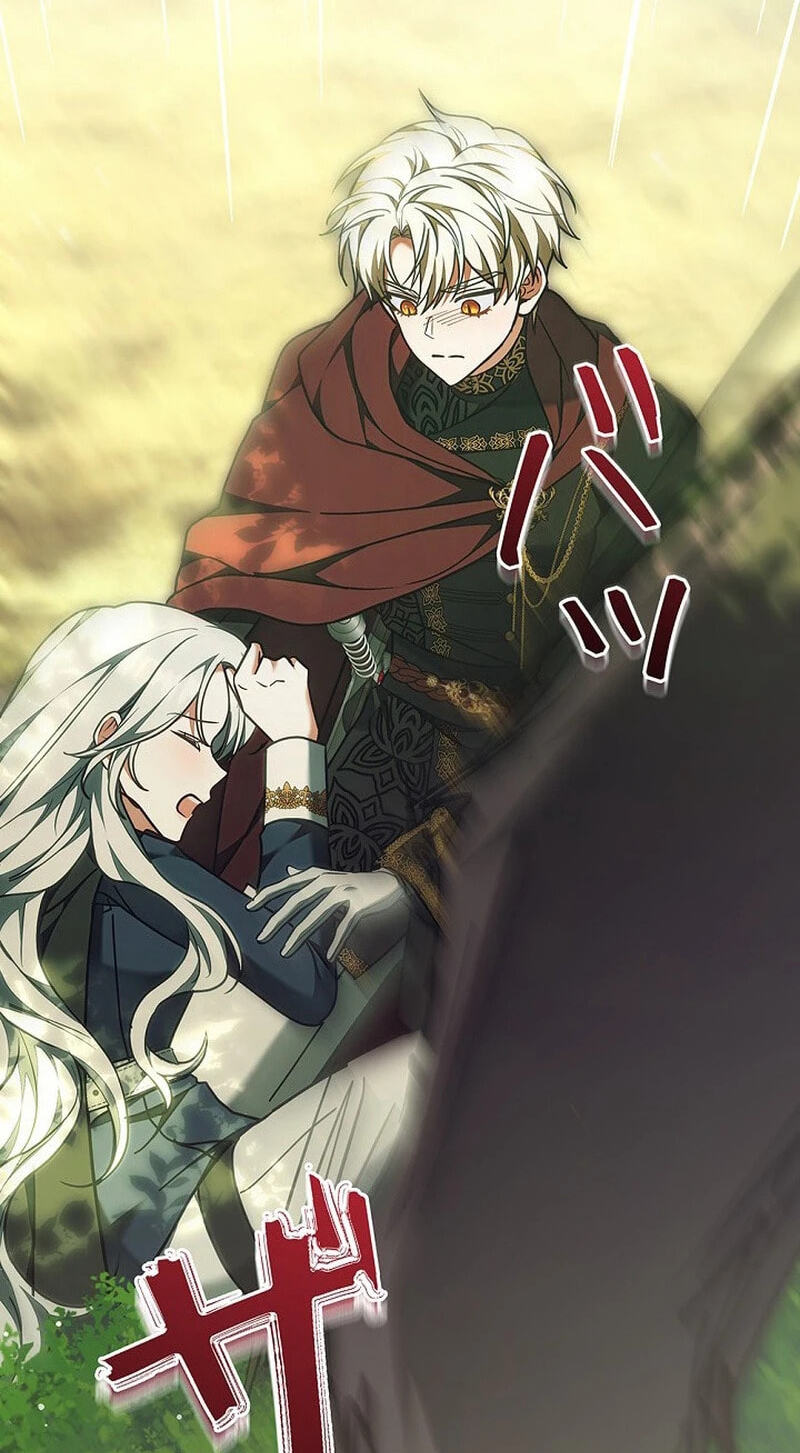 I Was Supposed to Be a Stalker Lady, but Somehow I