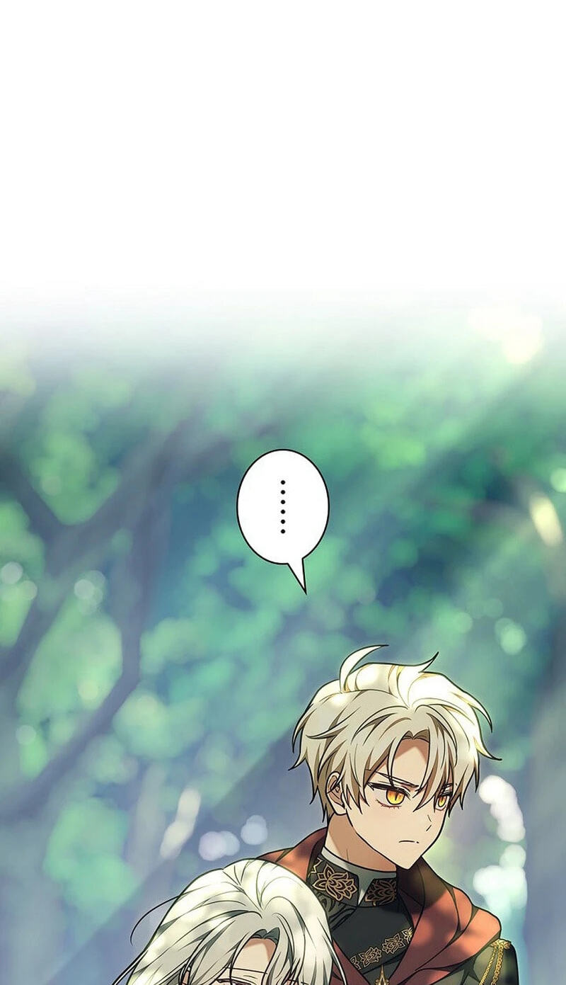 I Was Supposed to Be a Stalker Lady, but Somehow I