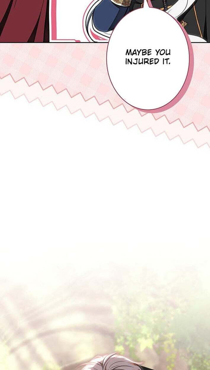 I Was Supposed to Be a Stalker Lady, but Somehow I