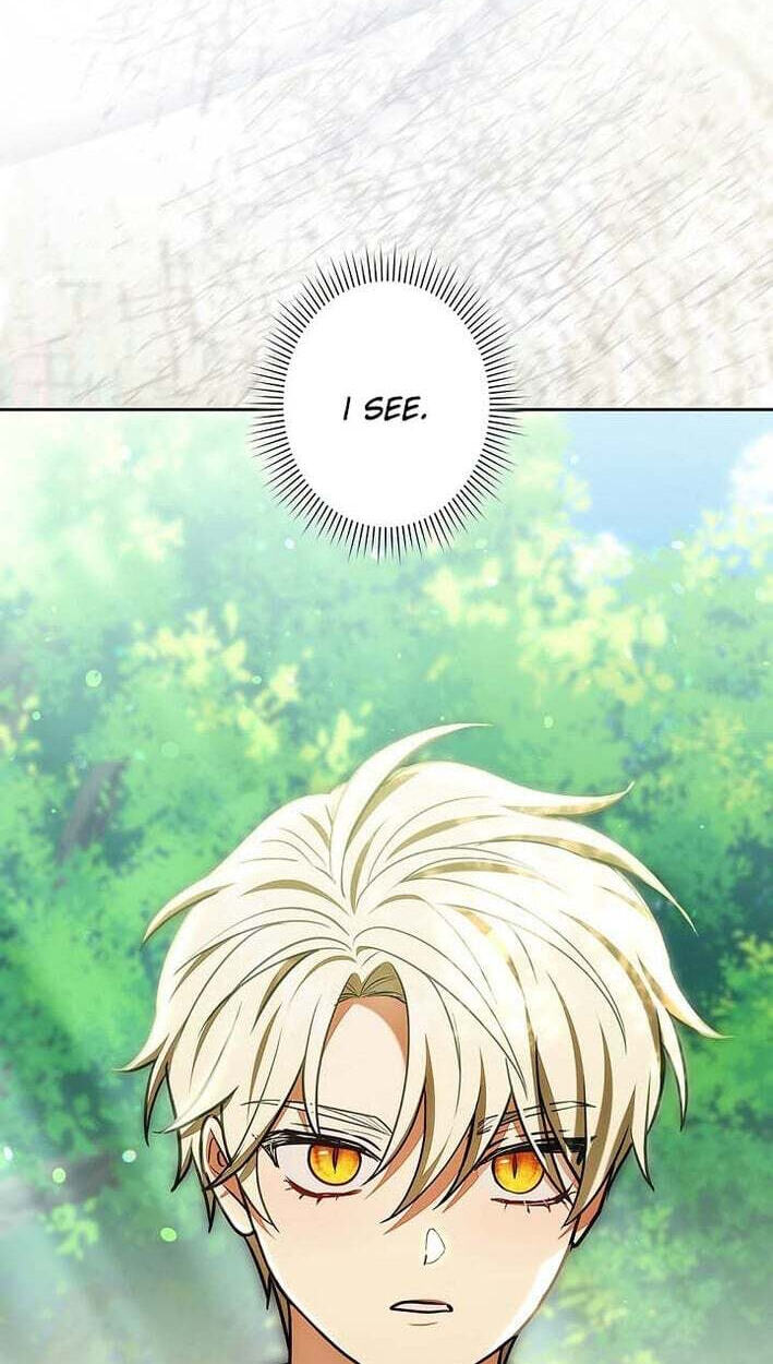 I Was Supposed to Be a Stalker Lady, but Somehow I