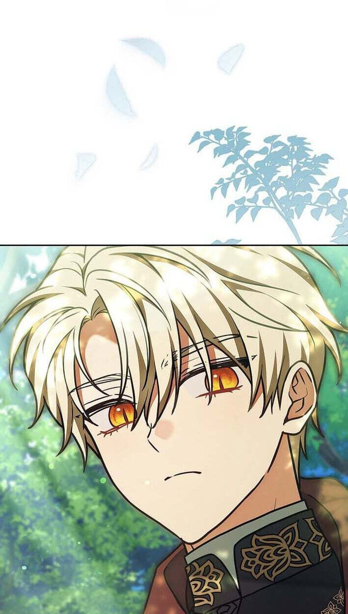 I Was Supposed to Be a Stalker Lady, but Somehow I