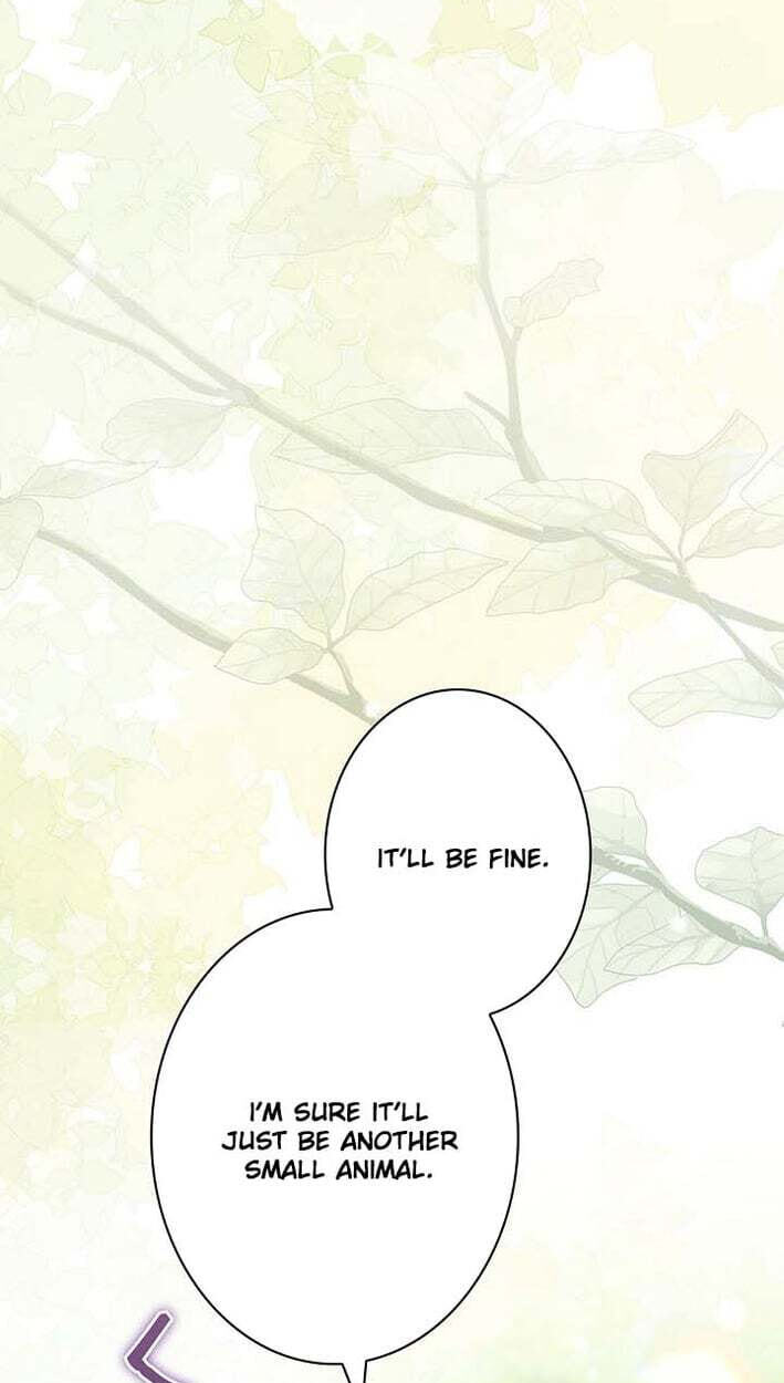 I Was Supposed to Be a Stalker Lady, but Somehow I