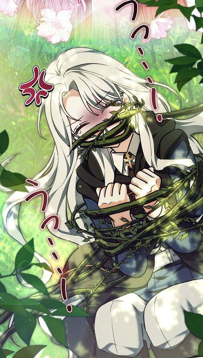 I Was Supposed to Be a Stalker Lady, but Somehow I
