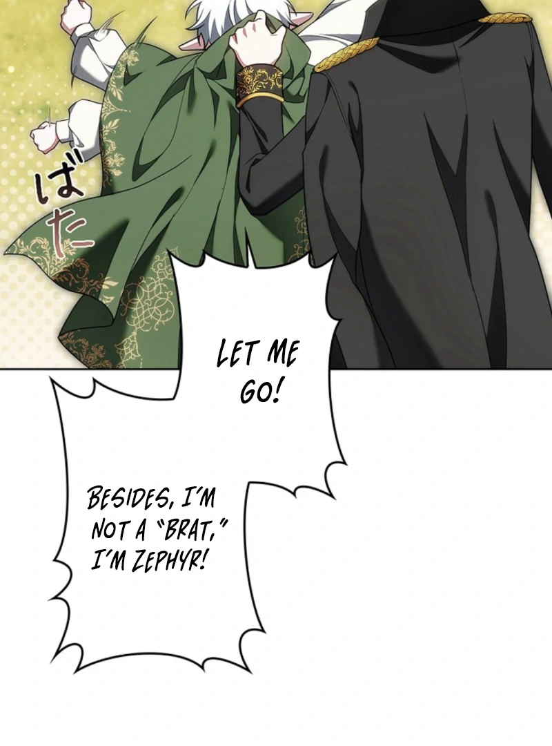 I Was Supposed to Be a Stalker Lady, but Somehow I