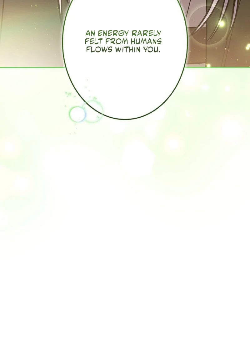 I Was Supposed to Be a Stalker Lady, but Somehow I