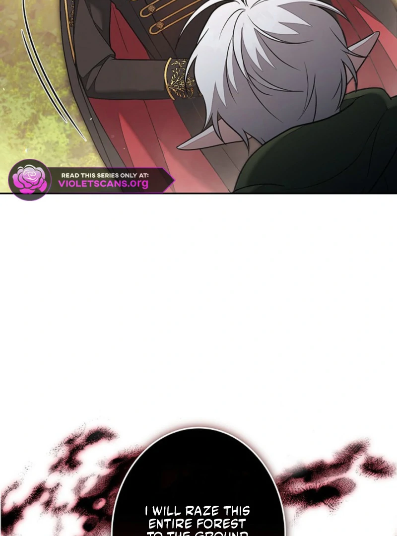 I Was Supposed to Be a Stalker Lady, but Somehow I