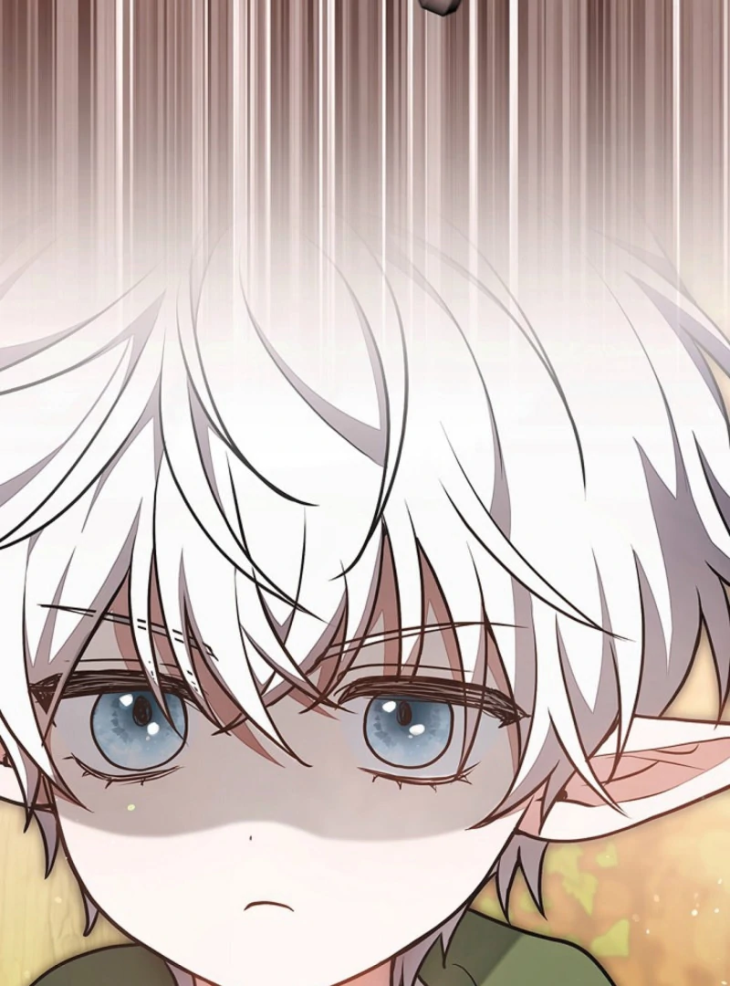 I Was Supposed to Be a Stalker Lady, but Somehow I