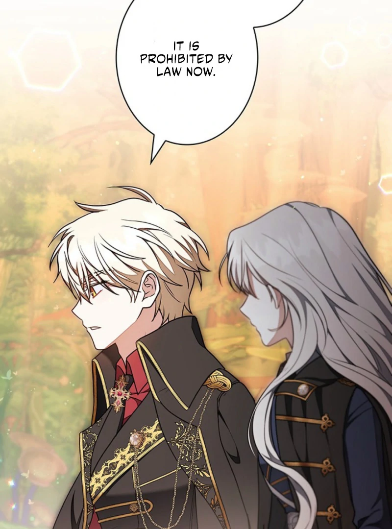 I Was Supposed to Be a Stalker Lady, but Somehow I