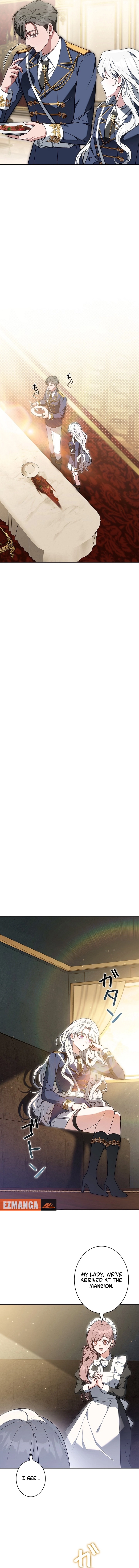 I Was Supposed to Be a Stalker Lady, but Somehow I