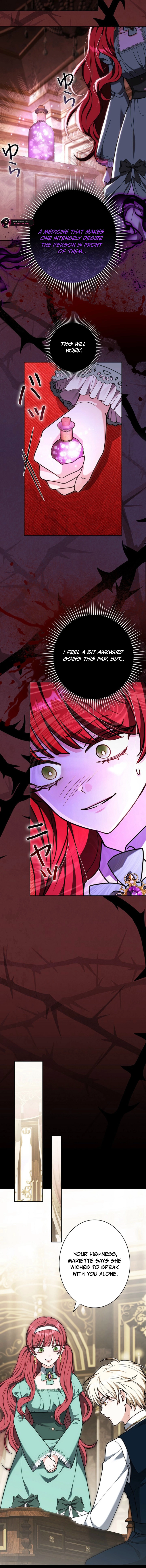 I Was Supposed to Be a Stalker Lady, but Somehow I
