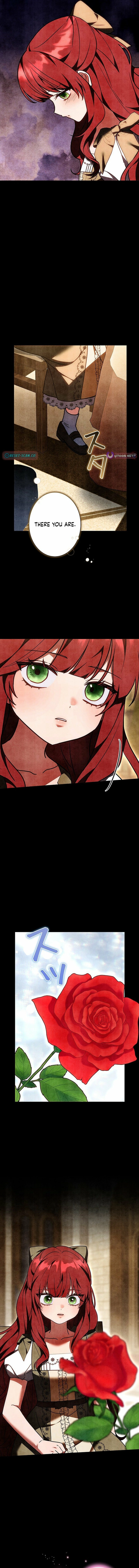 I Was Supposed to Be a Stalker Lady, but Somehow I