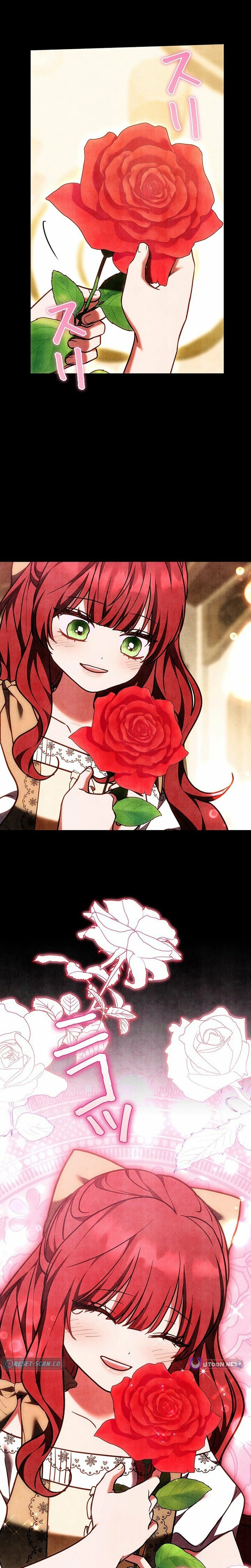 I Was Supposed to Be a Stalker Lady, but Somehow I