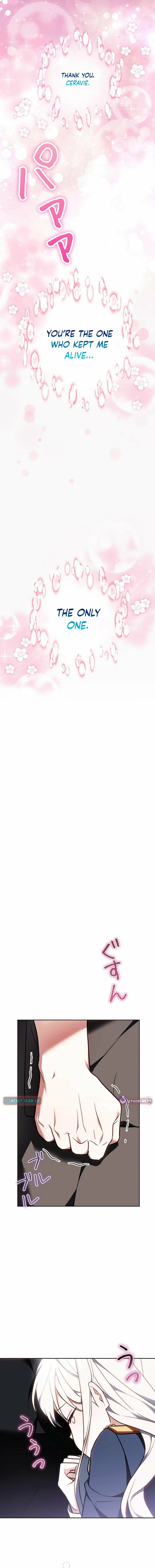 I Was Supposed to Be a Stalker Lady, but Somehow I