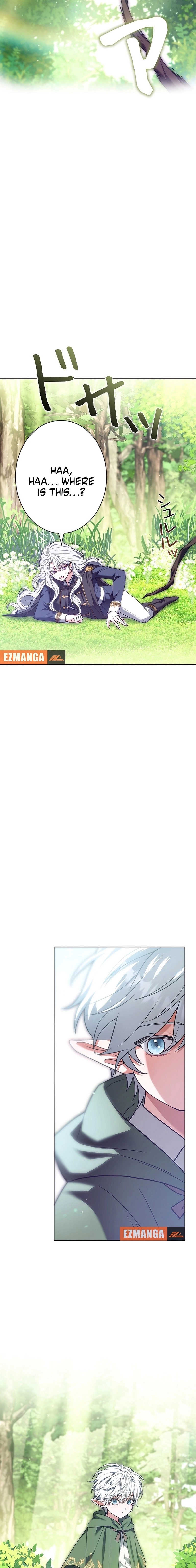 I Was Supposed to Be a Stalker Lady, but Somehow I