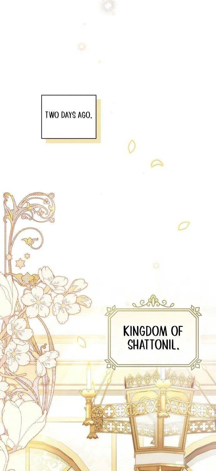 I Was The Acting Empress But I Spent The First Night With Him Chapter 1 page 16 - 
