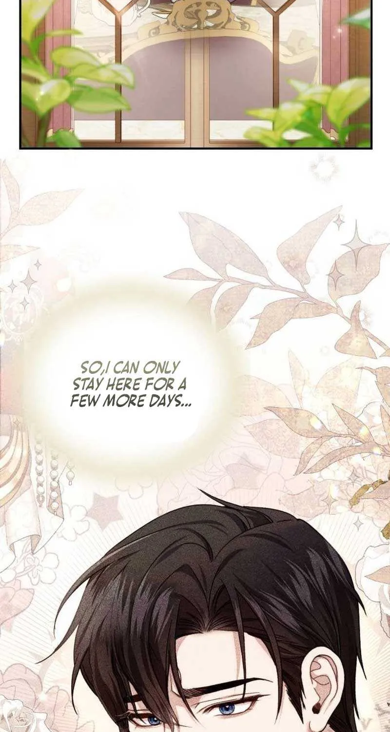 I Was The Acting Empress But I Spent The First Night With Him Chapter 10 page 42 - 