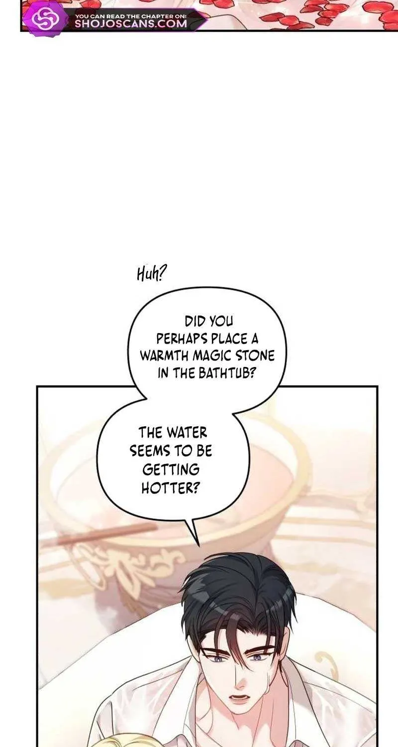 I Was The Acting Empress But I Spent The First Night With Him Chapter 12 page 19 - 