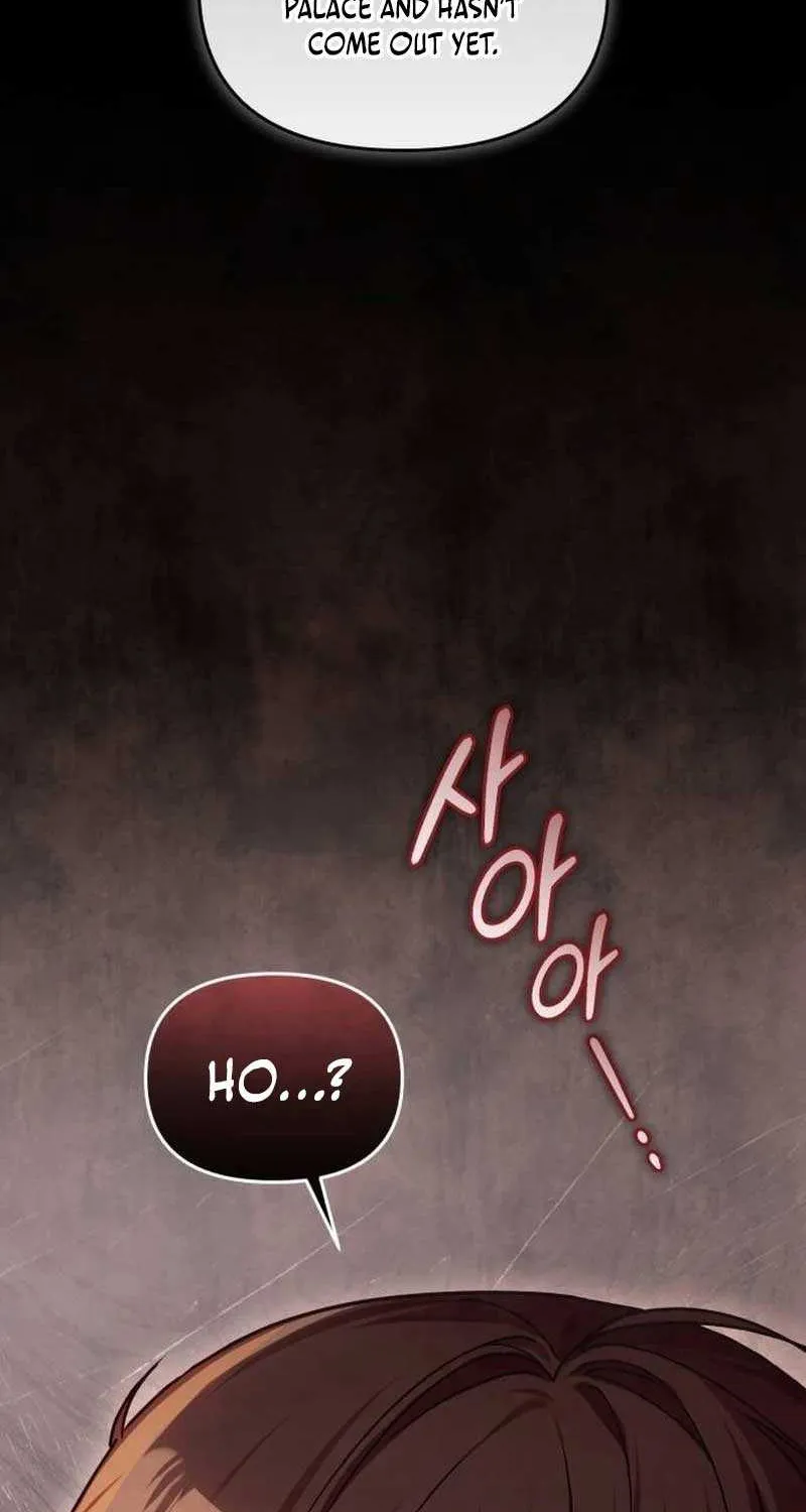 I Was The Acting Empress But I Spent The First Night With Him Chapter 13 page 2 - 