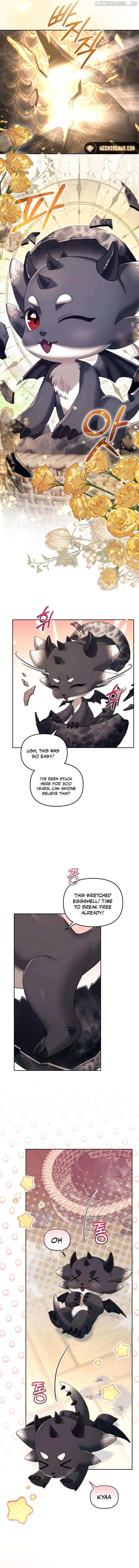 I Was The Acting Empress But I Spent The First Night With Him Chapter 28 page 11 - 