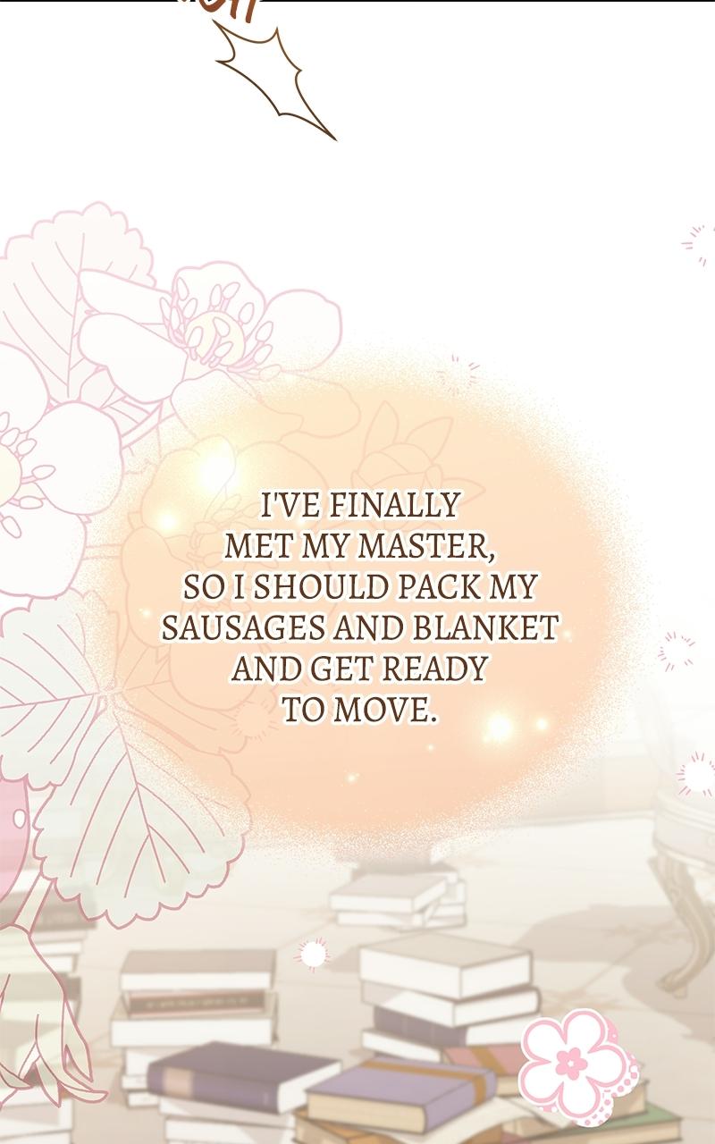 I Was The Acting Empress But I Spent The First Night With Him Chapter 56 page 75 - 