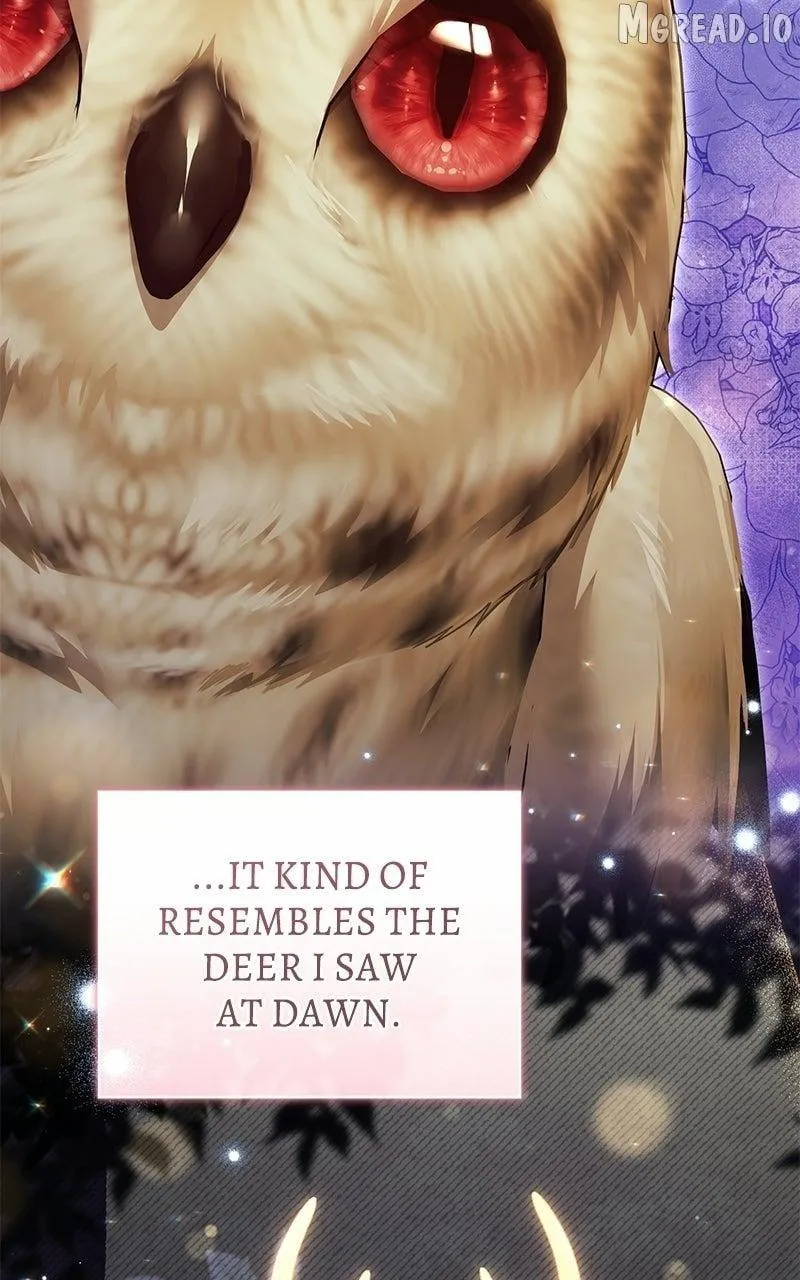 I Was The Acting Empress But I Spent The First Night With Him Chapter 63 page 19 - 