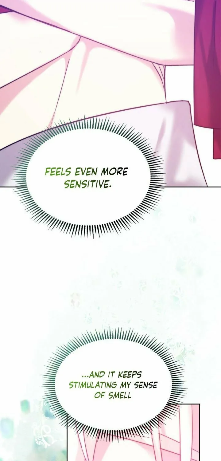 I Was the Real Owner of Elheim Chapter 3 page 11 - 