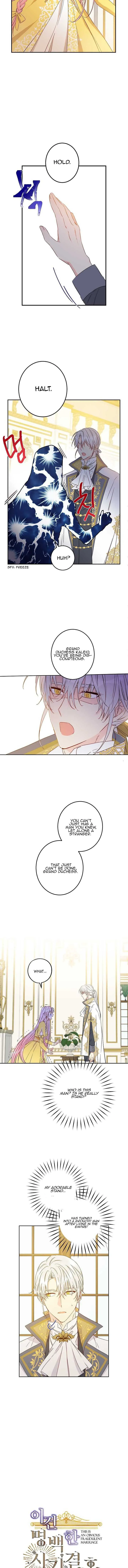 I Was Tricked into this Fake Marriage! Chapter 49 page 4 - 