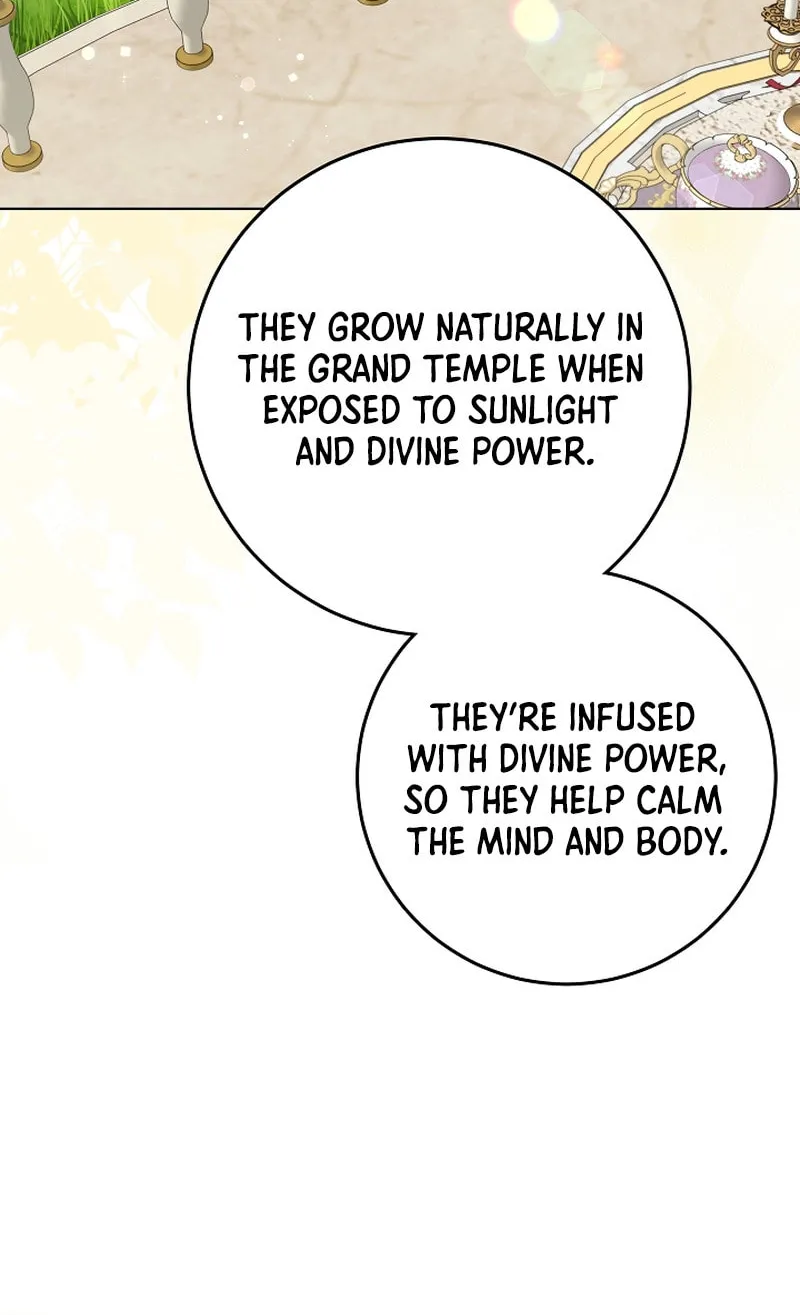 I Will Buy Divine Power With Money! Chapter 14 page 108 - 
