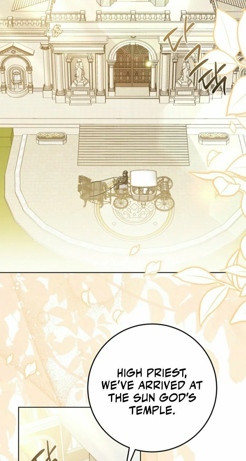 I Will Buy Divine Power With Money! Chapter 23 page 44 - 