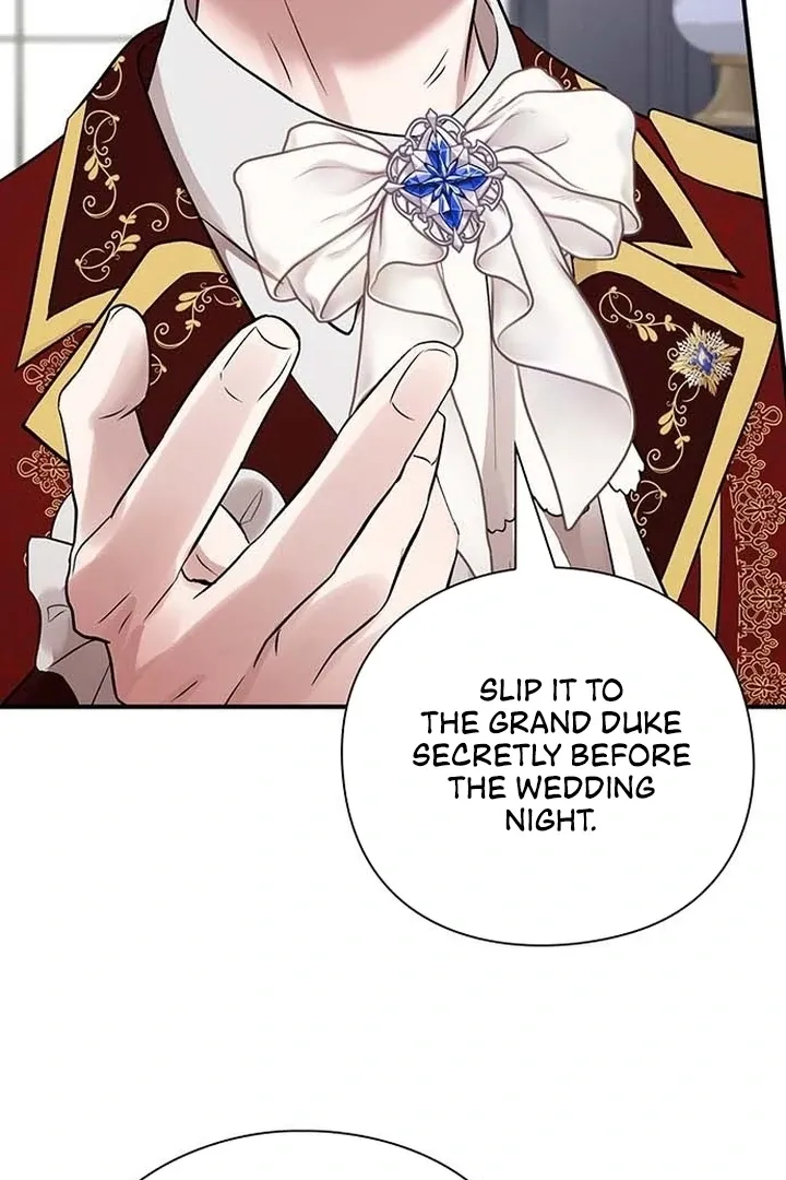 I will disappear for you, Your Grace the Grand Duke Chapter 1 page 184 - 